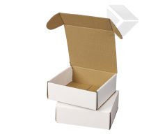220X230X80MM WHITE POSTAL BOX